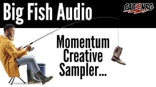 Big Fish Audio Momentum Creative Sampler